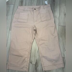 High-Waisted Crop Chino Wide-Leg Pants | women’s size 18 petite